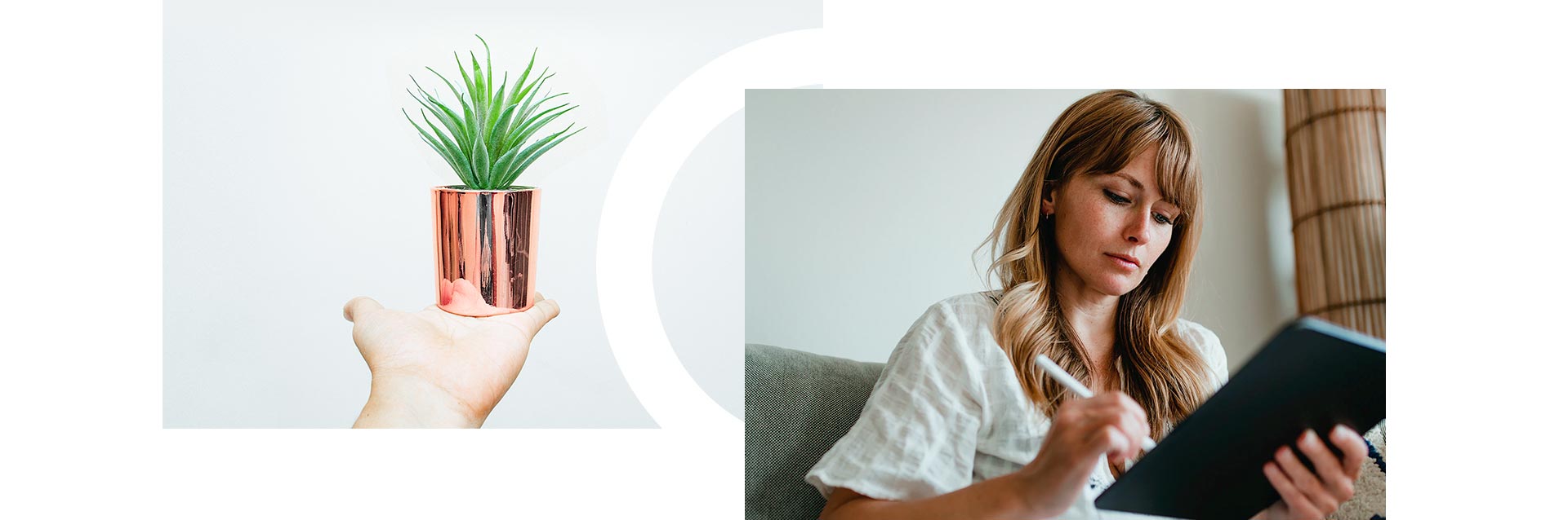 maceta con planta y mujer dibujando en su tablet